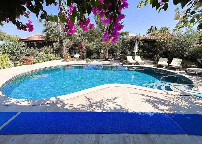 Vigdis Dalyan- Family-friendly In Dalyan Centre With Private Pool & Garden *